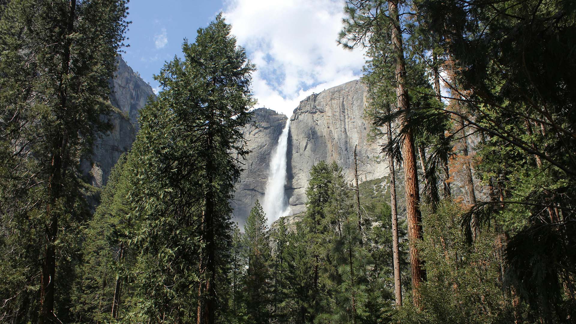 Yosemite Falls nel Parco nazionale di Yosemite