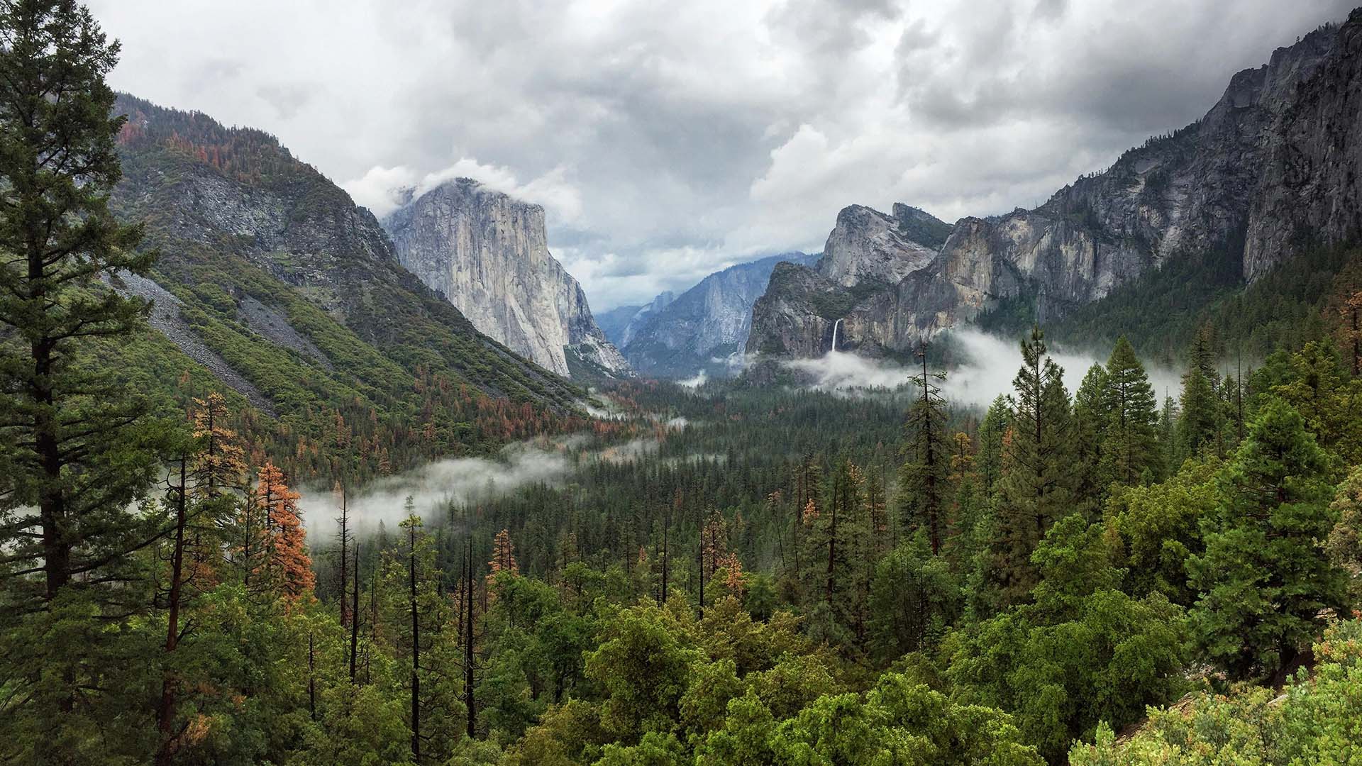 Parco nazionale di Yosemite