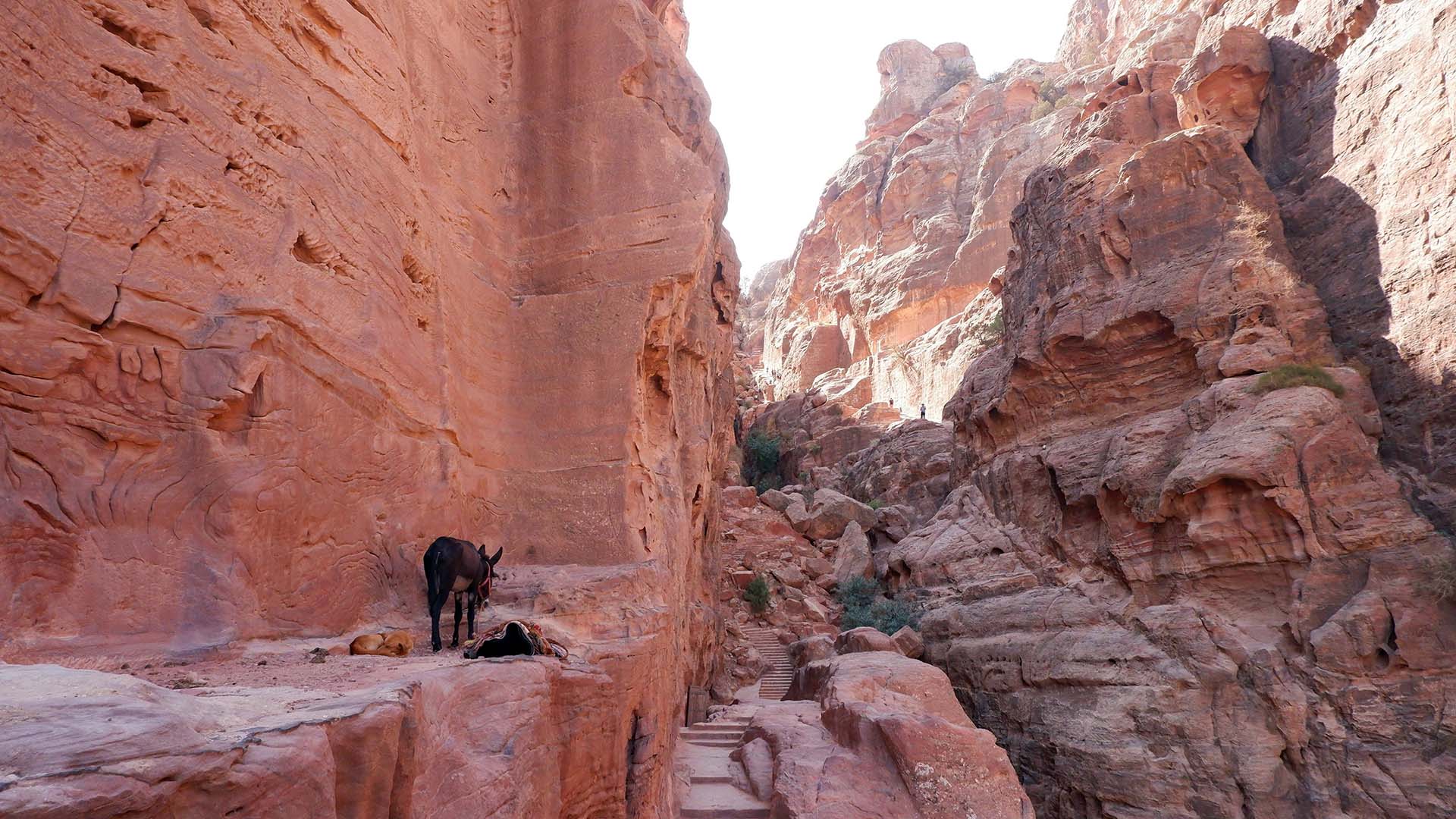 sito archeologico di Petra in Giordania