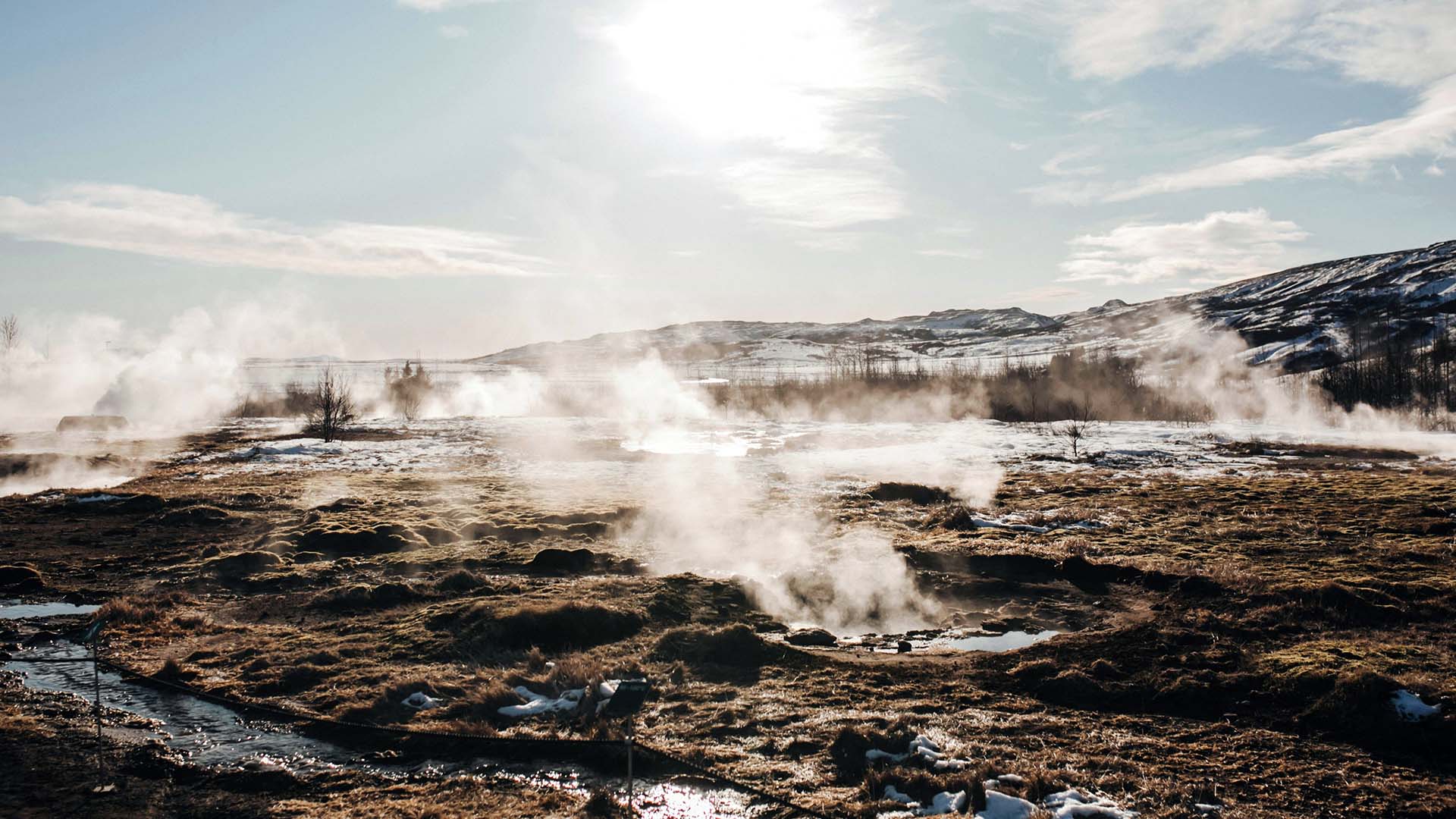 geyser in Islanda