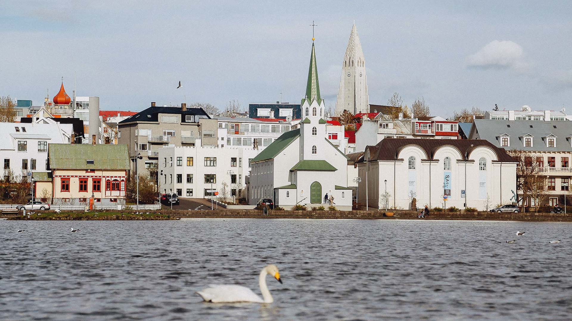 vista dello skyline di Reykjavik in Islanda